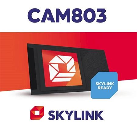 Skylink CAM803 Nagravision - CA modul do CI slotu v TV nebo přijímači , s vestav