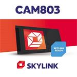 Skylink CAM803 Nagravision - CA modul do CI slotu v TV nebo přijímači , s vestavěnou kartou